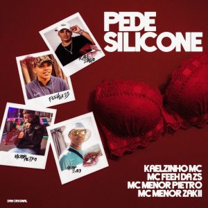 收聽Kaelzinho MC的Pede Silicone (Explicit)歌詞歌曲