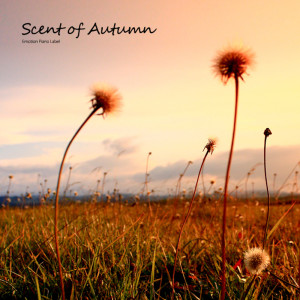 อัลบัม 가을 향기 (Scent of Autumn) Scent Of Autumn ศิลปิน 최정석