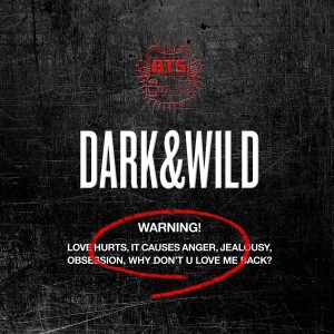 防彈少年團的專輯Dark & Wild