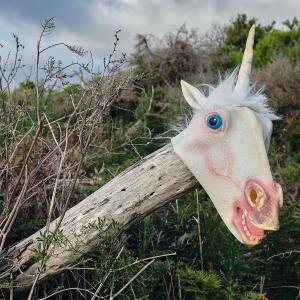 收聽The Great Emu War Casualties的(closed Until Further Notice) (Explicit)歌詞歌曲