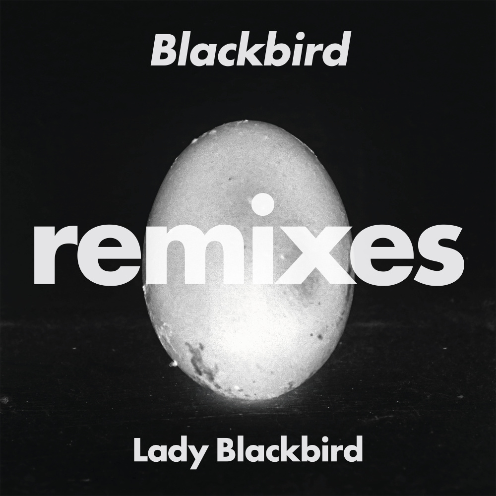 Blackbird (Foremost Poets Remix)