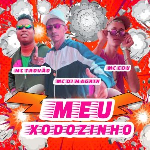 Album Meu Xodozinho (Explicit) from MC DI MAGRIN