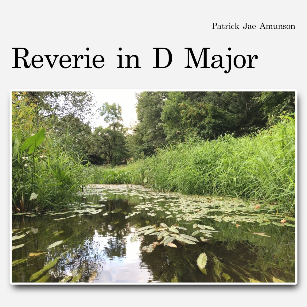 Reverie in D Major