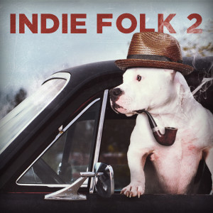 Various Artists的专辑Indie Folk 2