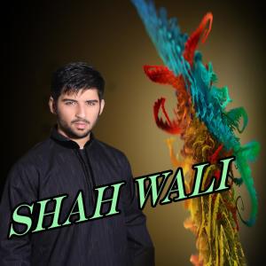 Dengarkan Pa Asheqay Ke lagu dari Shah Wali dengan lirik