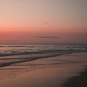 Listen to lowkey song with lyrics from Flux The Cynic
