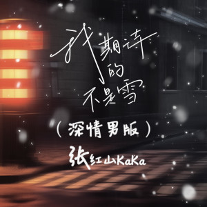 收聽張紅山KaKa的我期待的不是雪 (深情男版)歌詞歌曲