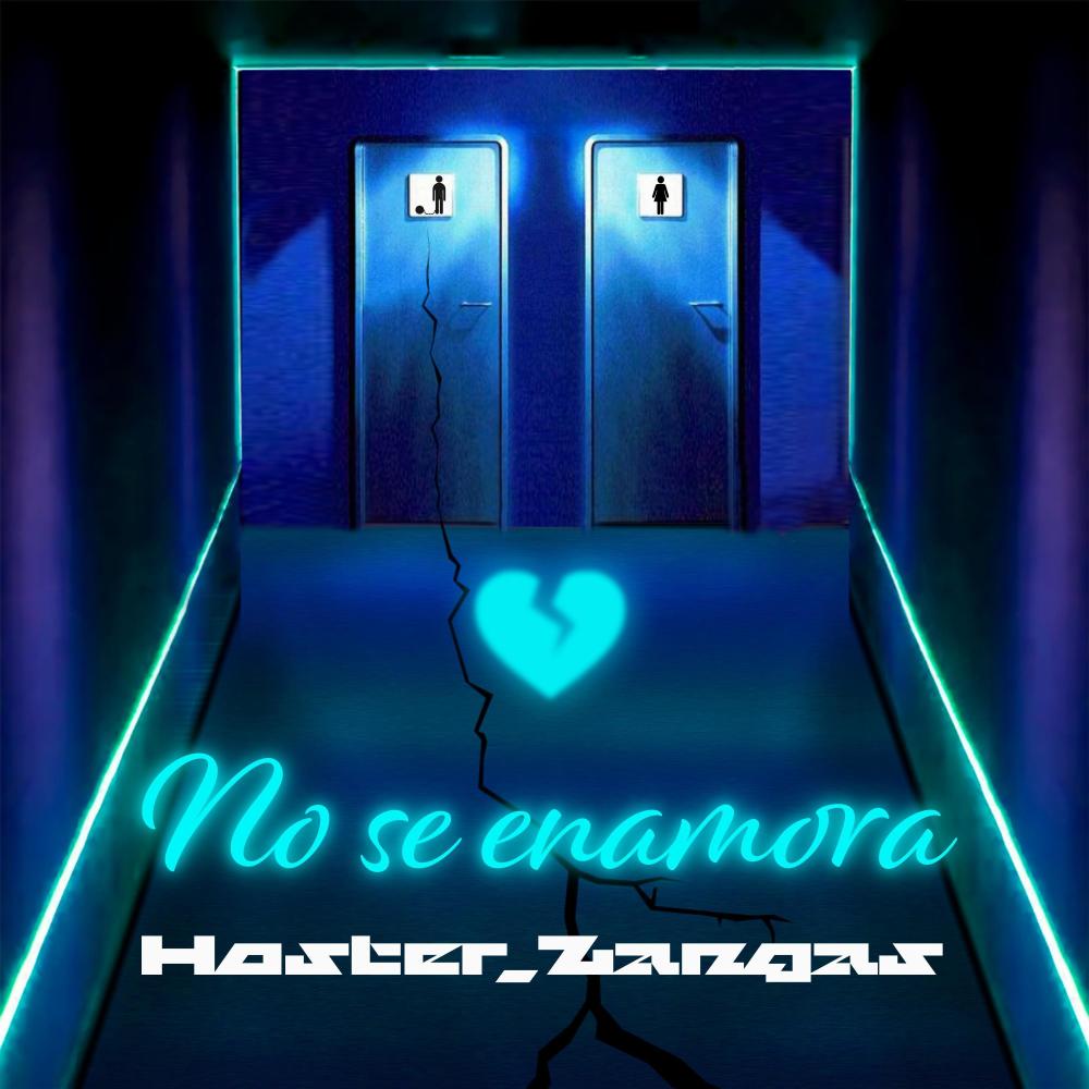 No Se Enamora