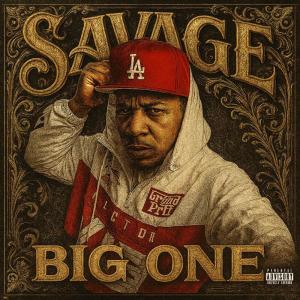 Listen to Big One (Explicit) song with lyrics from SavageDoDamage