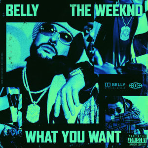 Belly的專輯What You Want