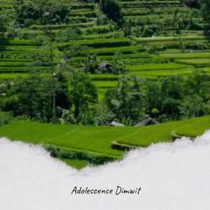 Listen to Charabanc It song with lyrics from Odian Dilber