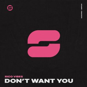 Album Don't Want You (Explicit) from Rico Vibe