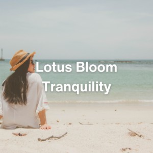 ASMR Sleep Sounds的專輯Lotus Bloom Tranquility