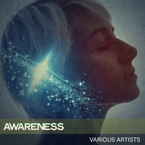 Various Artists的專輯Awareness