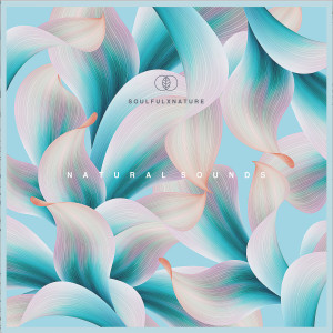 ดาวน์โหลดและฟังเพลง Tangerine พร้อมเนื้อเพลงจาก Hopeful Child
