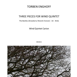 ดาวน์โหลดและฟังเพลง The Beetles พร้อมเนื้อเพลงจาก Wind Quintet Carion