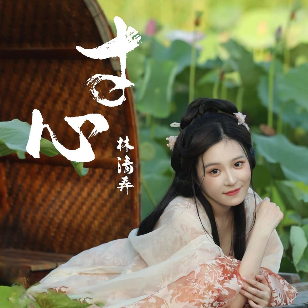 寸心 (伴奏)