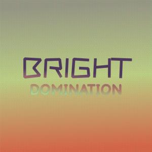 Various Artists的專輯Bright Domination