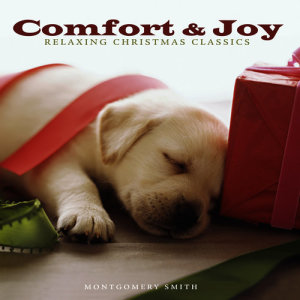 ดาวน์โหลดและฟังเพลง Do You Hear What I Hear? พร้อมเนื้อเพลงจาก Montgomery Smith