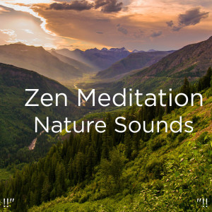ดาวน์โหลดและฟังเพลง Peaceful Jungle Music พร้อมเนื้อเพลงจาก Nature Sounds
