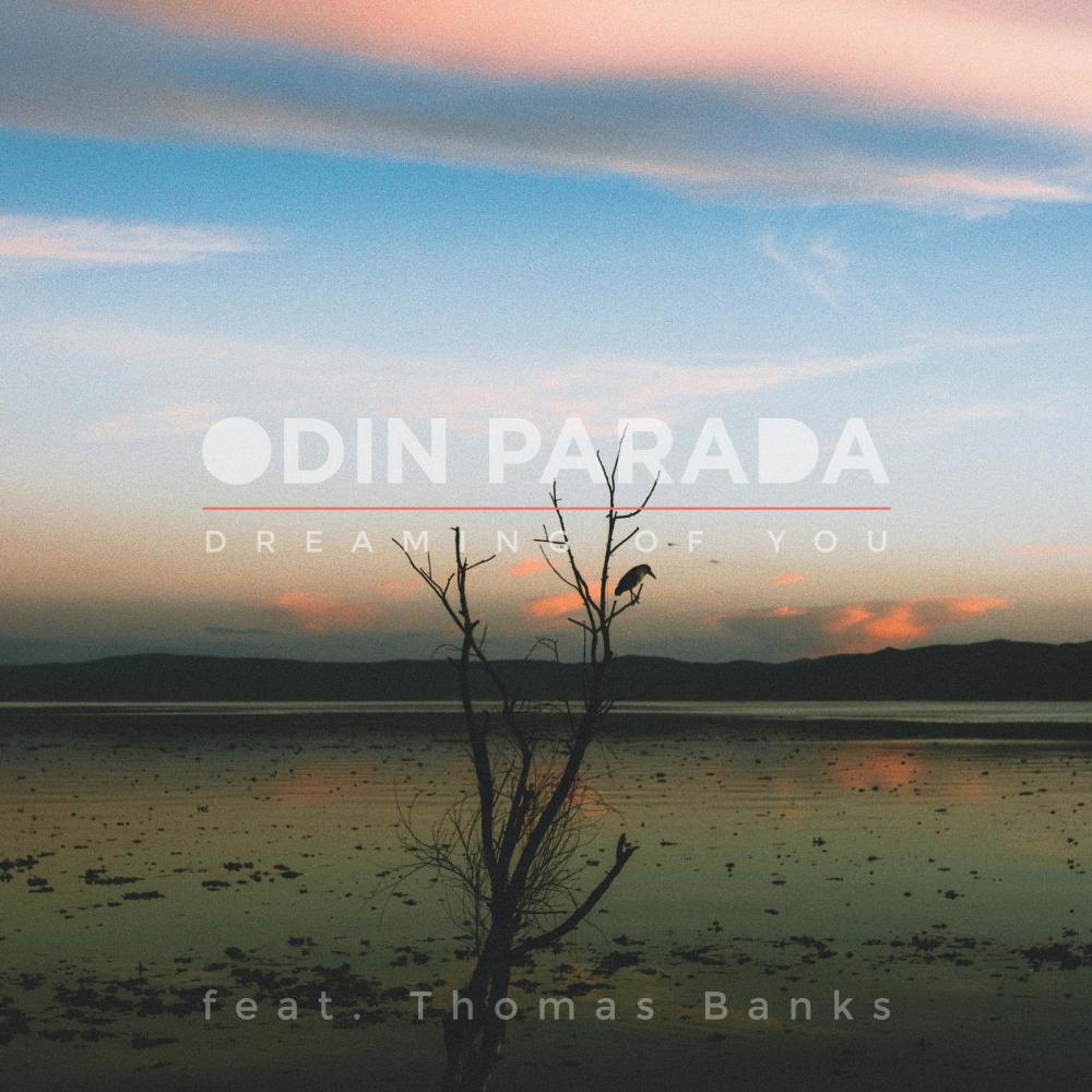 Dreaming Of You(Barfuß Am Klavier ReWork)[feat. Thomas Banks)