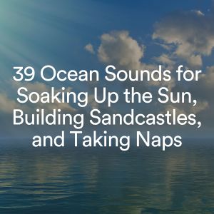 Album 39 Ocean Sounds for Soaking Up the Sun, Building Sandcastles, and Taking Naps oleh Natural Waters