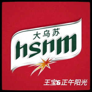 王宝与正午阳光的专辑大乌苏