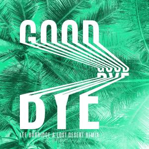 Listen to Goodbye (Lee Burridge & Lost Desert Remix) song with lyrics from Monkey Safari