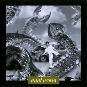 ดาวน์โหลดและฟังเพลง Suitcase Disaster พร้อมเนื้อเพลงจาก Aunt Worm