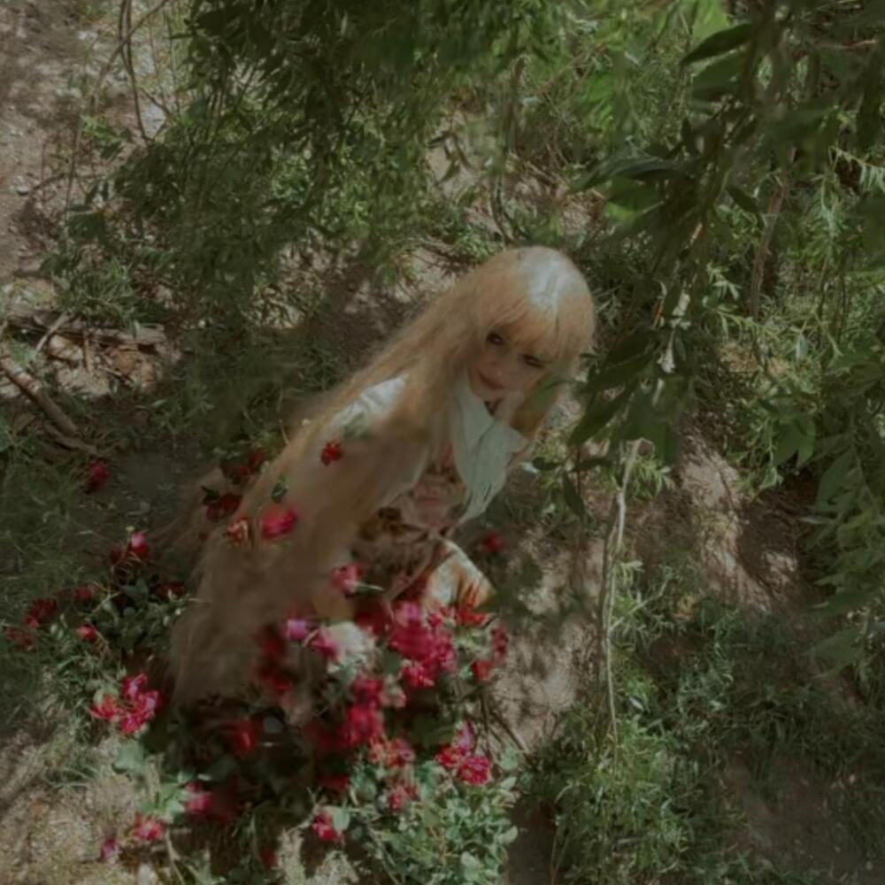 ROSES (Explicit)