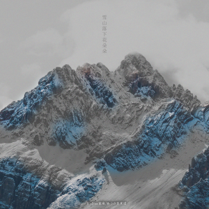 Album 雪山落下花朵朵 from KidNamx