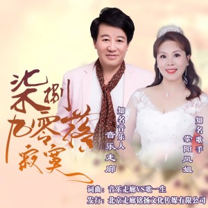 Album 七零八落九寂寞【音乐走廊VS崇阳凤姐】 from 音乐走廊