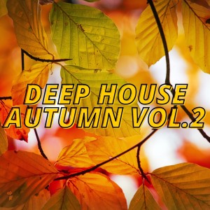 Various Artists的專輯Deep House Autumn Vol.2