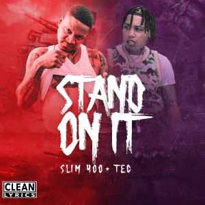 Album Stand On It from Slim 400