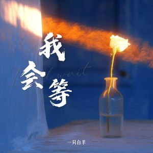 Album 我会等 from 一只白羊