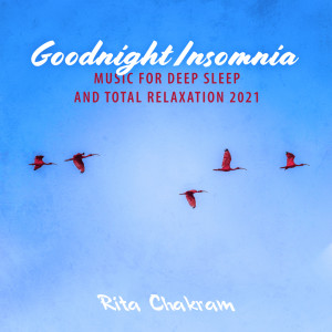 ดาวน์โหลดและฟังเพลง Inducing a Deep Sleep Phase พร้อมเนื้อเพลงจาก Rita Chakram