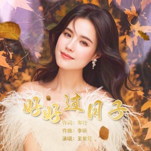 Album 好好过日子 oleh 王紫菲