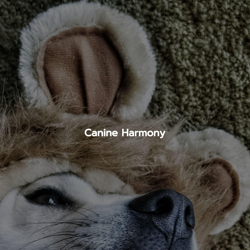 Terrific Music for December Energy