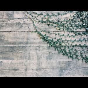 收听SPA的Sleep Hibernation歌词歌曲