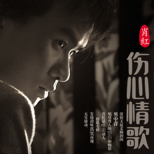 收聽肖紅的有一種愛叫做放手歌詞歌曲