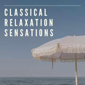 收聽Homelanders Orchestra的Symphony No 7 (i. Allegro moderato)歌詞歌曲