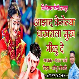 ดาวน์โหลดและฟังเพลง Aazad Kelelya Pakharala Sukh Milu De พร้อมเนื้อเพลงจาก Sonu Lokhande