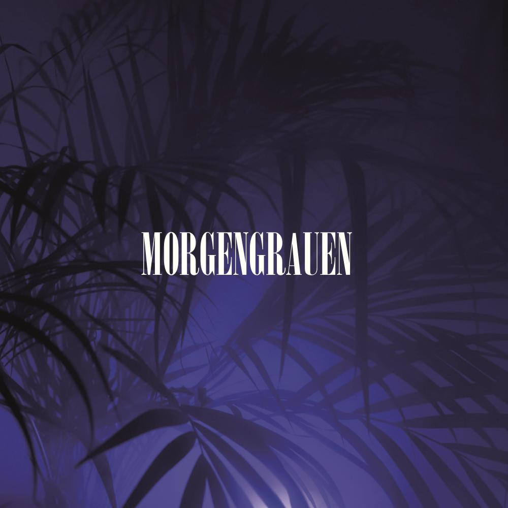 Morgengrauen (feat. Socn) (Explicit)