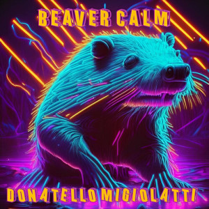 收聽Donatello Migiolatti的Beaver Calm歌詞歌曲