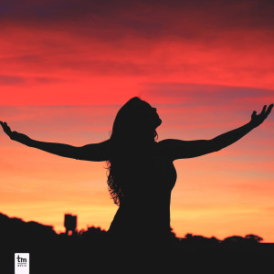 收聽Mu'gambi的frui vita歌詞歌曲