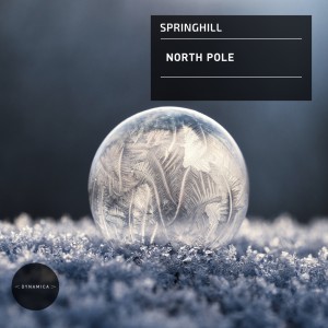 Listen to North Pole (Original Mix) song with lyrics from Springhill