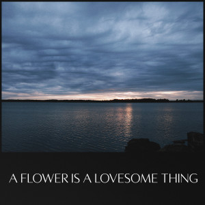 อัลบัม A Flower Is a Lovesome Thing ศิลปิน Carl Winther