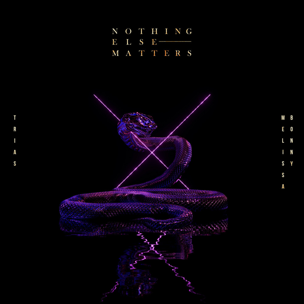 Nothing Else Matters (Mix) (Extended)