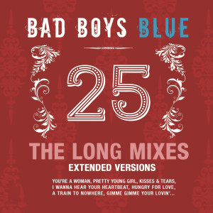 ดาวน์โหลดและฟังเพลง Don't Leave Me Now (MS Project Reload 2022) พร้อมเนื้อเพลงจาก Bad Boys Blue