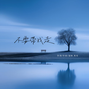 Album 不要带我走 from 风哥